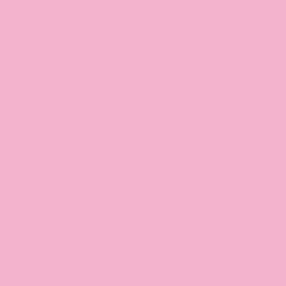 Blush Carbon